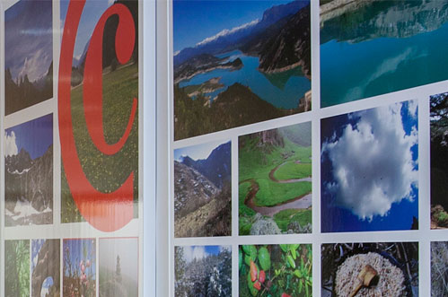 Promoción de las exportaciones