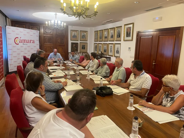 La Cámara de Comercio de Huesca rechaza la instalación de plantas fotovoltaicas flotantes