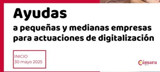 Ayudas a pymes para actuaciones de digitalización